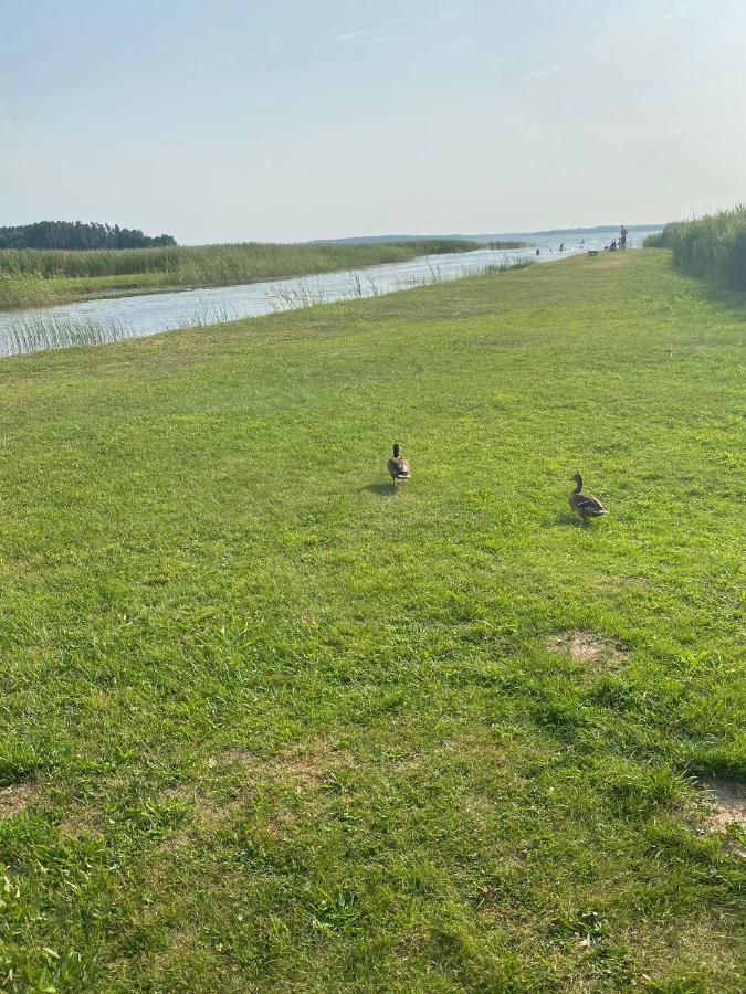 Usma Dz Villa Kültér fotó